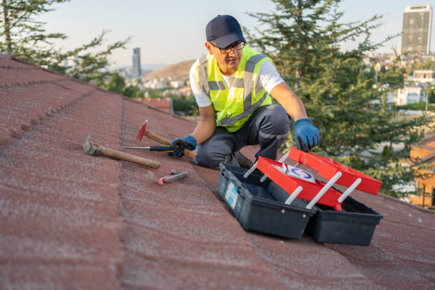 Best Insulated Siding Installation  in North Richmond, CA